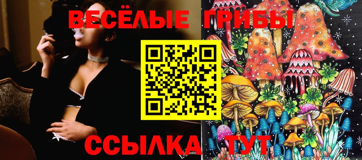 Псилоцибиновые грибы ЛСД  где можно купить   Богородск  Вход с VPN 